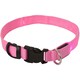 image 5 of Light Up Dog Collar - LED - Bunty Pink | M