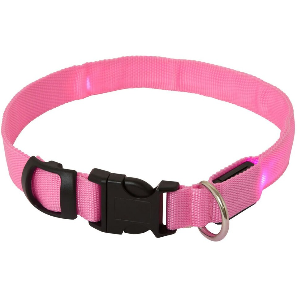 image 1 of Light Up Dog Collar - LED - Bunty Pink | M