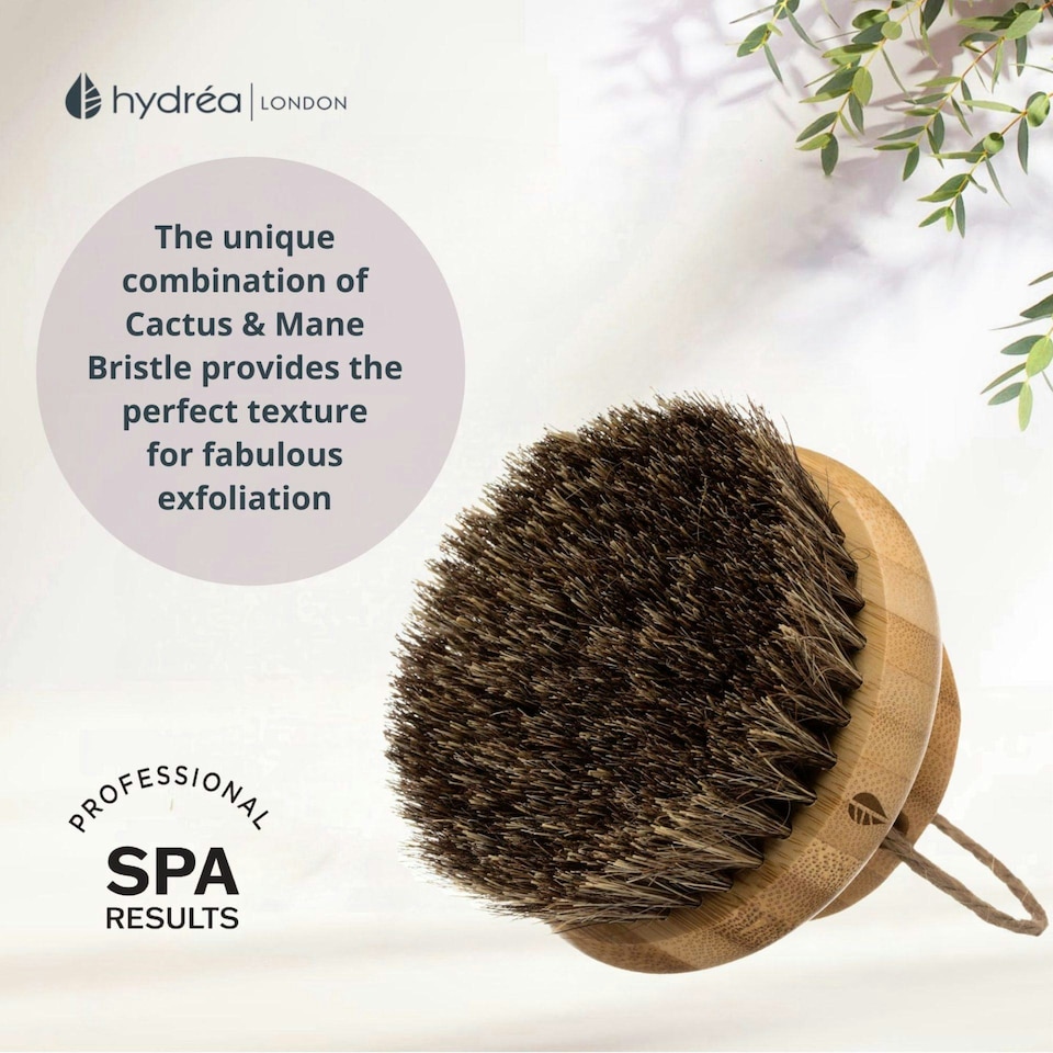 image 1 of Hydréa London Round Bamboo Body Brush