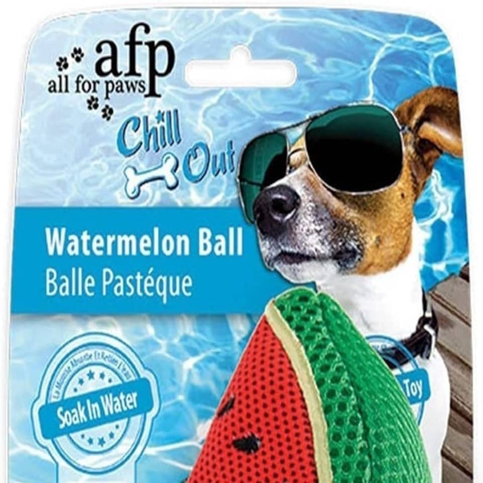 image 1 of ALL FOR PAWS Chill Out Watermelon Slice