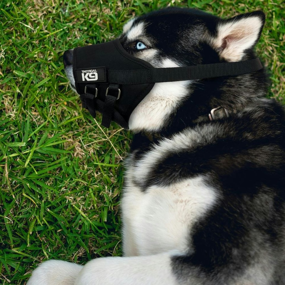 image 1 of HugglePets Tactical K9 Adjustable Comfort Dog Muzzle | Black | M