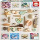 image 2 of Paul Lamond Educa Borras Seashells Collage 1000 Piece Jigsaw Puzzle