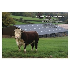 Kevin Milner Do Not Cross The Field Countryside Greetings Card - Multicoloured - One Size