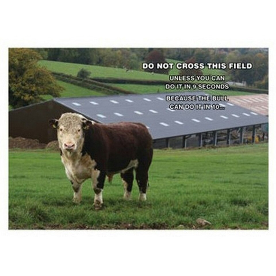 Kevin Milner Do Not Cross The Field Countryside Greetings Card - Multicoloured - One Size