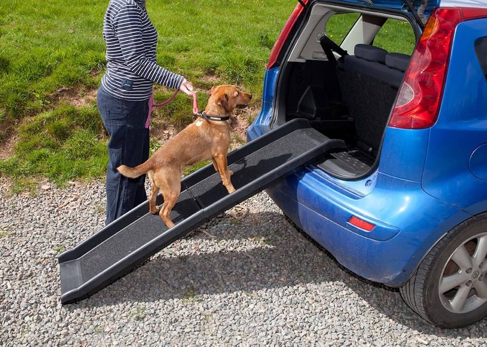 image 1 of Actiaspet Folding Dog Ramp Anti Slip Lightweight Portable, Suitable for Small, Medium & Large Dogs up to 90kg Max Capacity Car Access 156cm x 40cm x 10cm