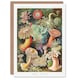 image 1 of Ernst Haeckel Art Card Sea Anemone Marine Landscape