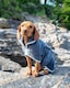 image 4 of Henry Wag Grey Microfibre Drying Coat For Use After Bath Time Or A Muddy Walk, Size Medium 40cm | Grey | Grey | M | 1