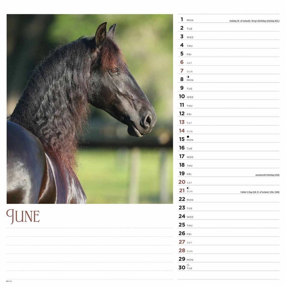 image 1 of Horses Calendar 2026, Wall Calendars, Month To View, Animals, Gift