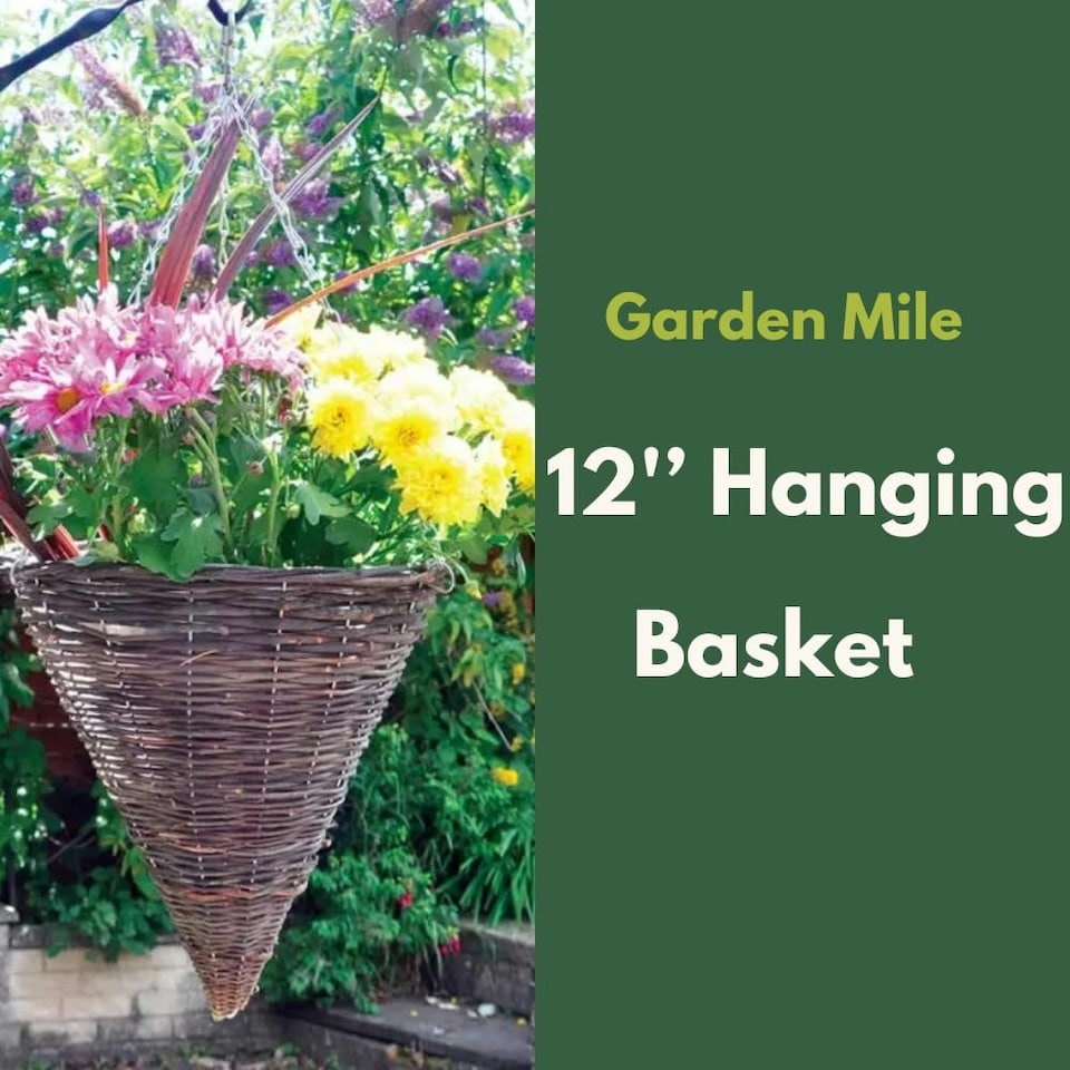 image 1 of Marco Paul Brown Rattan Cone Hanging Basket 12" | Brown