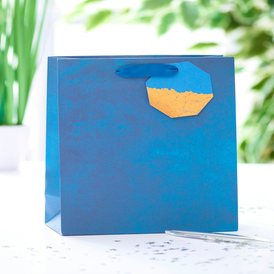 image 1 of Multipack of 3 Medium Gift Bags | Party Bags for Presents | Birthdays | For Him | Blue Design