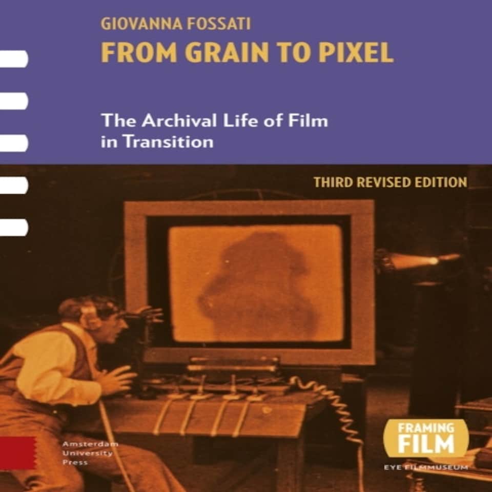 From Grain To Pixel