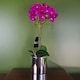 image 1 of 52cm Artificial Orchid Large - Dark Pink / Silver