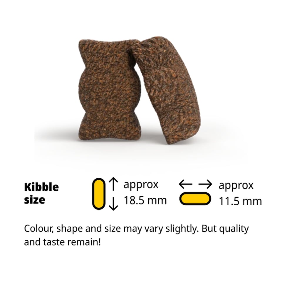 image 1 of Josera Junior Kids complete puppy food | Gluten-free | Medium & large breeds | Lots of meat | Optimal development | Omega 3 from Salmon Oil | 2x12.5kg pack