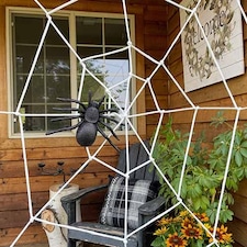 Giant Cobweb with Spider Halloween Decoration 150cm