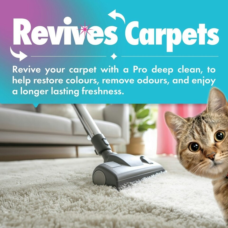 image 1 of Pet Pro Antibacterial Carpet Cleaning Shampoo (1L)