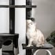 image 9 of PawHut Kitten Tower Adjustable 240-260cm, Scratch Posts, Houses, White