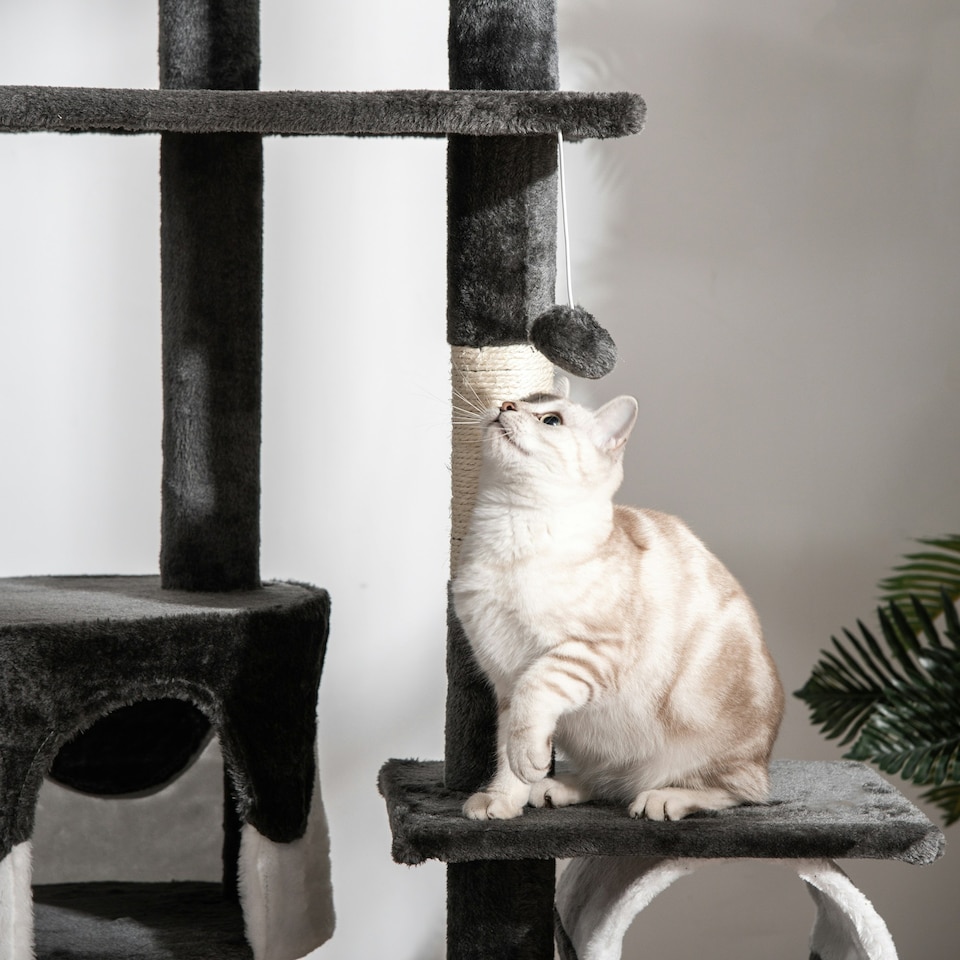 image 1 of PawHut Kitten Tower Adjustable 240-260cm, Scratch Posts, Houses, White