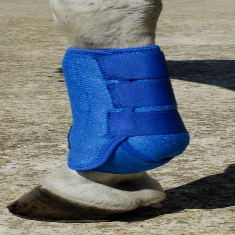 image 1 of Rhinegold Sports Medicine Boot Blue | Size: Pony
Colour: Royal Blue