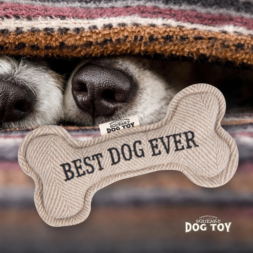 image 1 of History & Heraldry Pre-Personalised Squeaky Bone Dog Toy - Best Dog Ever