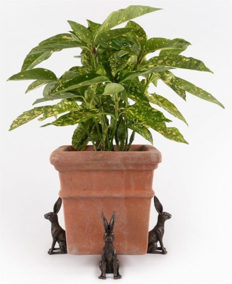 image 1 of Large Sitting Hare Plant Pot Feet - Set of 3 | Brown