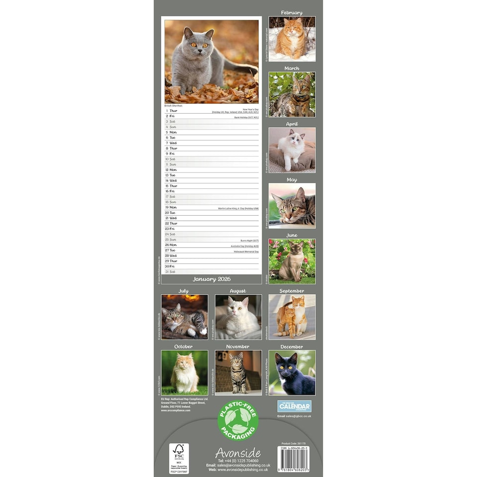 image 1 of Cats Slim 2026 Calendar | Slimline Wall Calendar | Cat Gift | Plastic Free Packaging | by Avonside Publishing [Calendar] Avonside Publishing Ltd