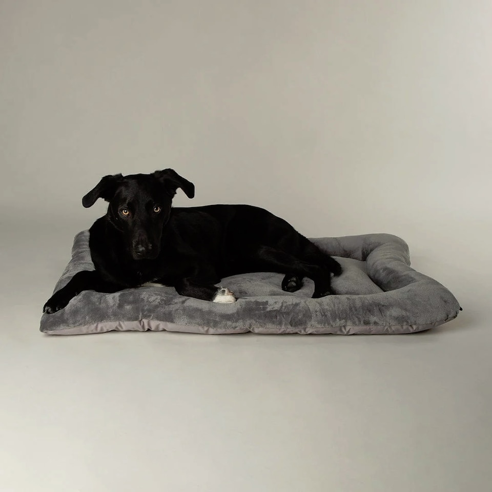 image 1 of Scruffs Expedition Water Resistant Crate Mat - Storm Grey