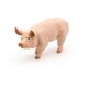 image 2 of PAPO Farmyard Friends Boar Toy Figure