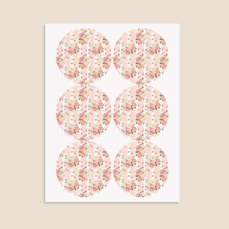 image 1 of Floral Baby Pink Stripes Round Stickers 88mm - Sheet of 6