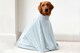 image 3 of Premium Microfibre Dog Drying Bag | Super Absorbent & Fast Drying Bathrobe Towel - Extra Small / Sky Blue