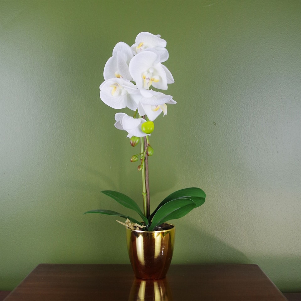 image 1 of 46cm Artificial Orchid White / Gold