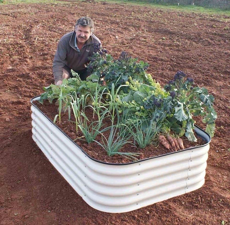 image 1 of Original Veggie Bed Merino White Vegetable Steel Raised Planter x1 | White