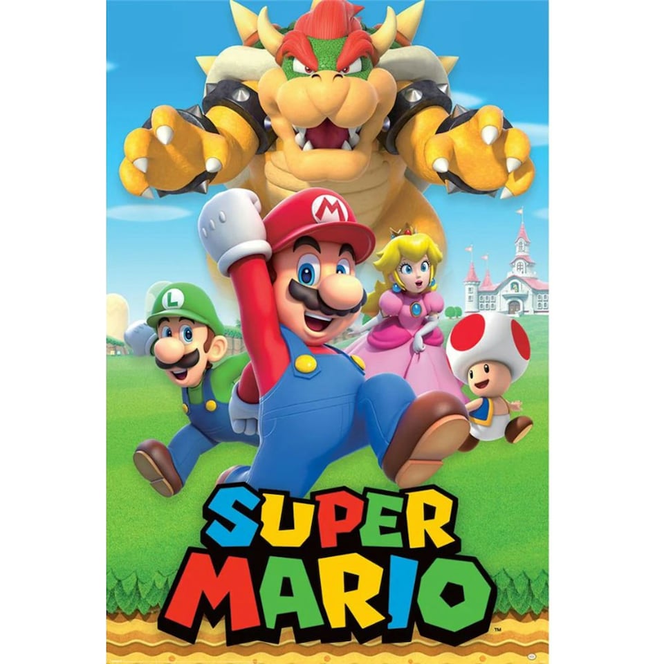 Super Mario Bros Characters Poster - Multicoloured - One Size