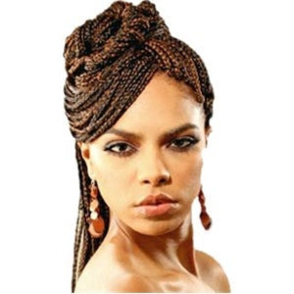 Janet Collection Janet Syn Super Jumbo Braid Multi | 30 | One Size