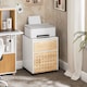 image 2 of SoBuy Mobile File Cabinet Printer Stand with 2 Drawers, White & Natural Wood, 17.7x17.7x23.2 inches, 19 kg - ASK06-WN