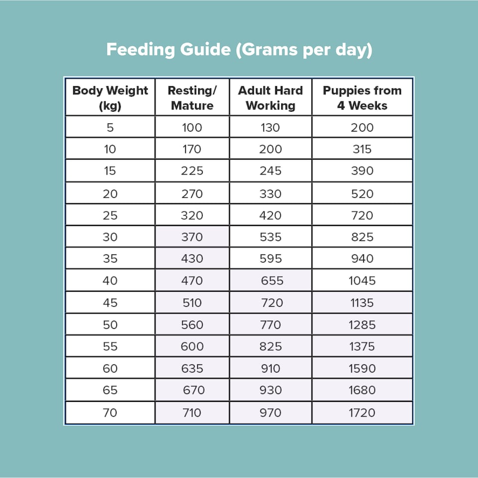 image 1 of Pero Cold Pressed Dog Food - Chicken and Sweet Potato | Brown | 2kg | Chicken | 1