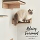 image 6 of NOVECRAFTO Corner Wall-Mounted Cat Bed – Sonoma Oak Beige – Brown Cushion – 35cm Wide – Space-Saving Shelf Holds up to 30kg for Cats