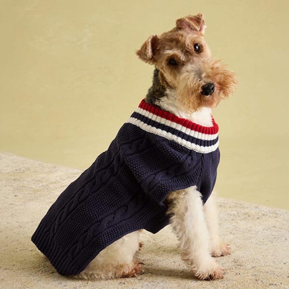 image 1 of Joules Dawson Medium Navy Dog Jumper