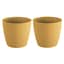 Yellow & Set of 2