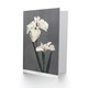 image 2 of Ogawa Kazumasa Japanese Art Card White Water Iris Flowers