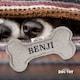image 2 of History & Heraldry Pre-Personalised Squeaky Bone Dog Toy - Benji