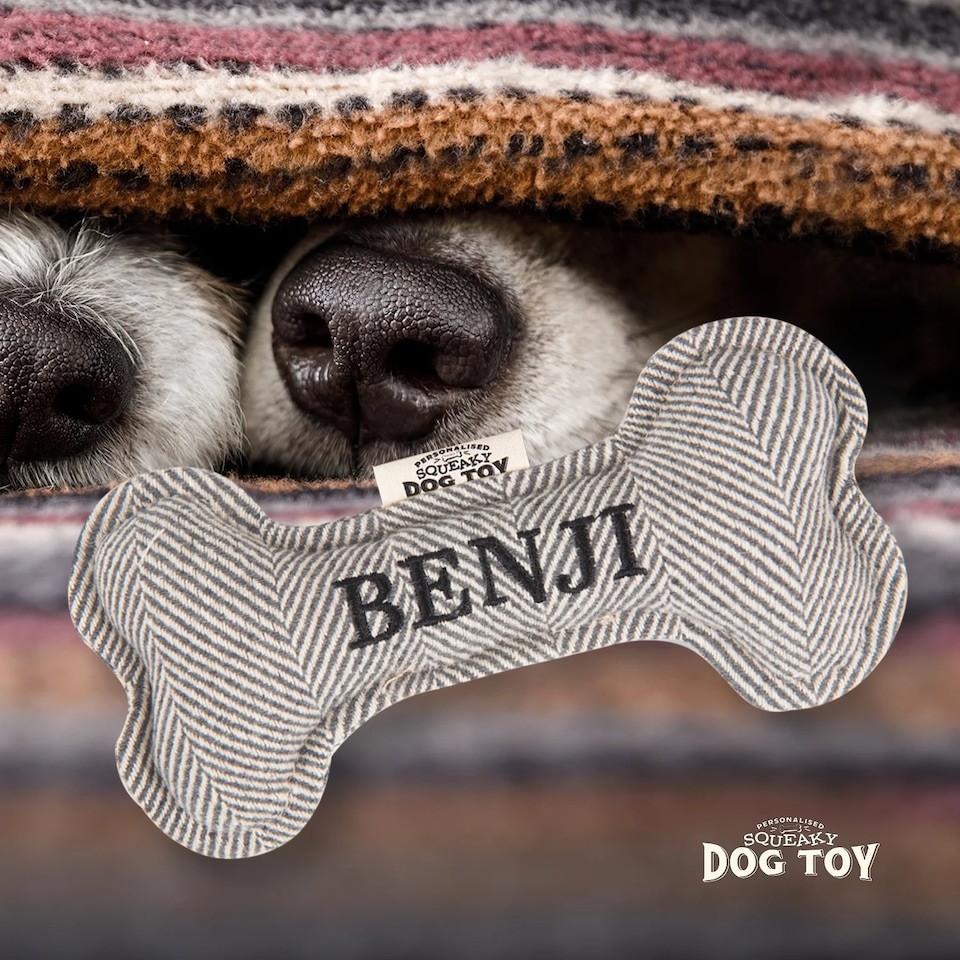 image 1 of History & Heraldry Pre-Personalised Squeaky Bone Dog Toy - Benji