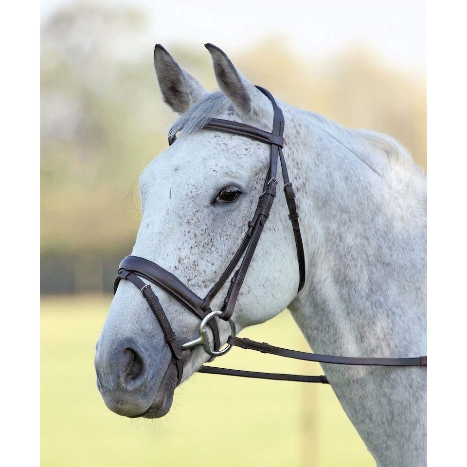 image 1 of Aviemore Comfort Fit Leather Horse Bridle | Multi | Havana | Pony | 1