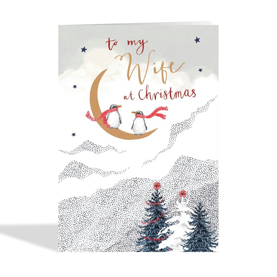 image 1 of Cute Christmas Card - For Wife - Penguin Couple
