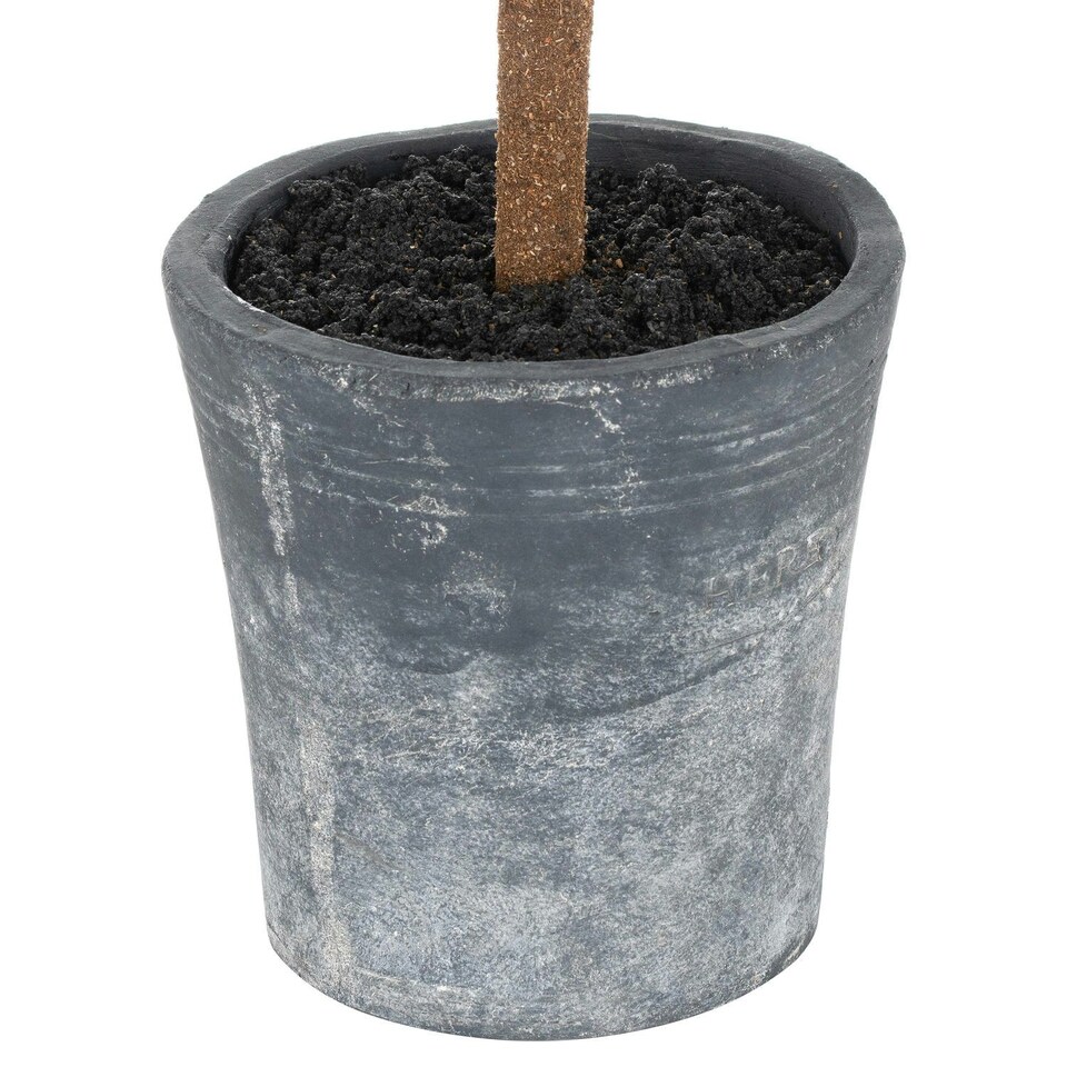 image 1 of Hill Interiors Fir Christmas Artificial Plant - Green - One Size