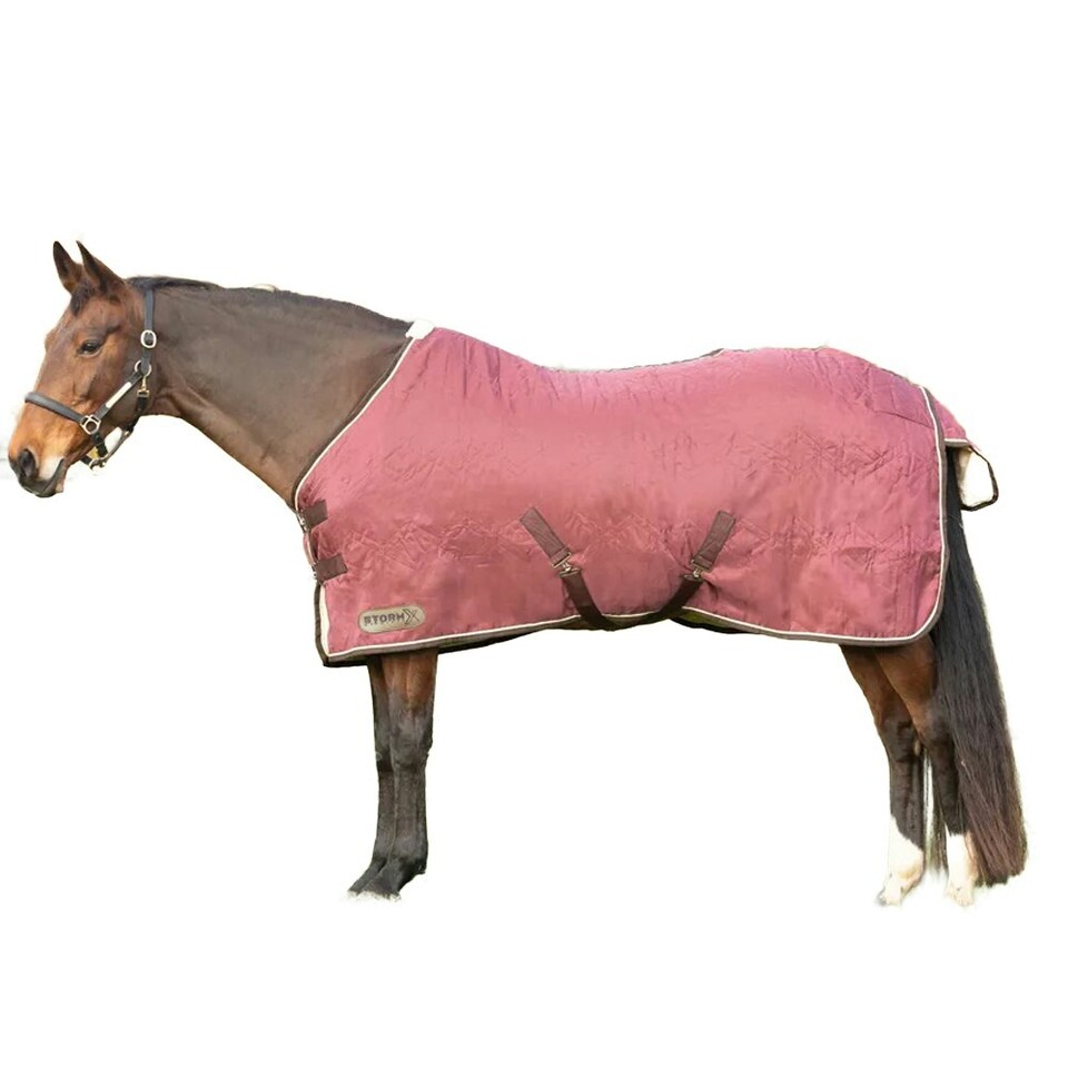 image 1 of StormX Empra Standard-Neck Horse Show Rug - Burgundy/Cream - 5´ 9"