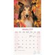 image 3 of Collie 2026 Calendar | Square Wall Calendar | Dog Breed Gift | Plastic Free Packaging | by Avonside Publishing