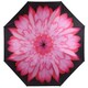 image 1 of Everyday Folding Umbrella Automatic Opening Reverse Daisy Multi