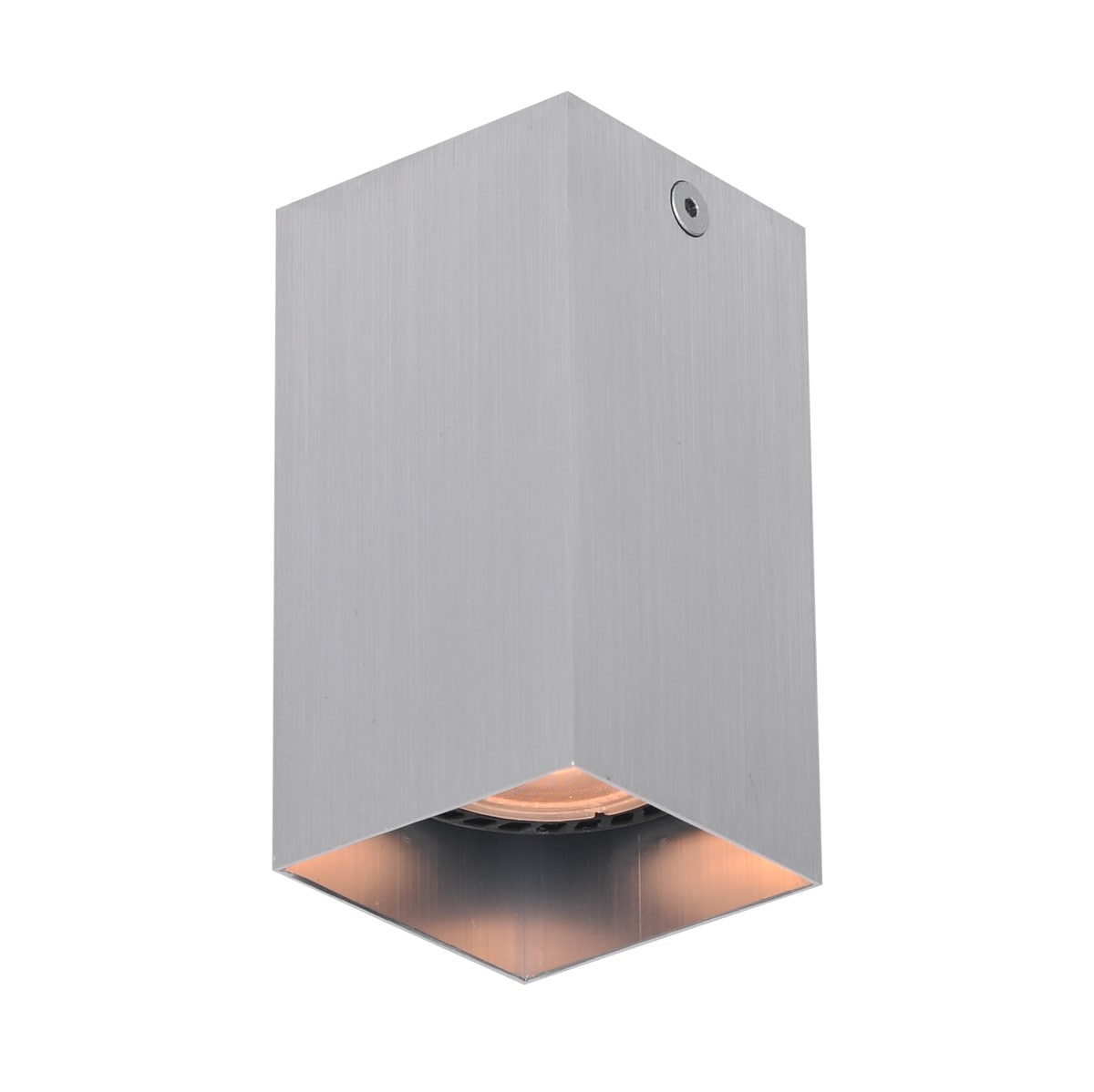 Netlighting Ander Surface Mounted Downlight Aluminum in Grey