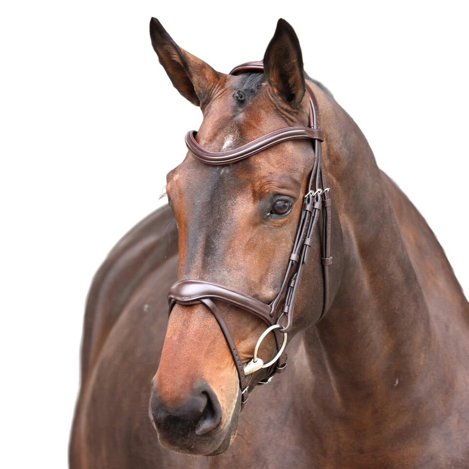 Velociti Lusso Elite Leather Horse Flash Bridle - Havana - X Full