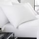 image 1 of Serene Plain Dye Pair of Housewife Pillowcases White